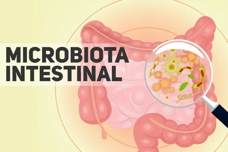 O Papel da Microbiota Intestinal na Regulação do Peso e Saúde Metabólica